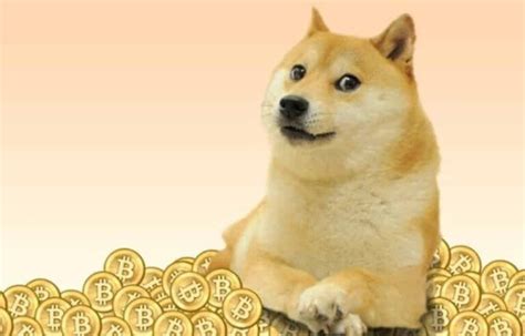 Doge NFT - Gamer Things