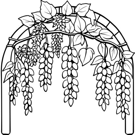 Wisteria Flower outline illustration coloring book page design, Wisteria Flower black and white ...