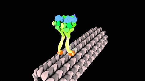 Molecular Motor Struts Like Drunken Sailor - YouTube