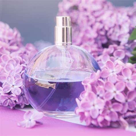 Violet Perfume Bottle with Lilac Flowers Stock Photo - Image of mockup, bottle: 263759768