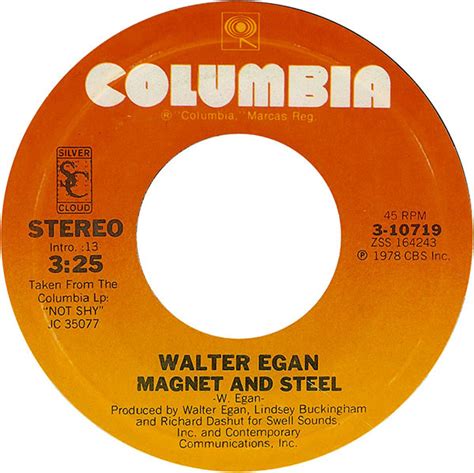 Walter Egan - Magnet And Steel / Tunnel O' Love (1978, Terre Haute Pressing, Vinyl) | Discogs