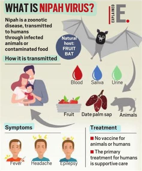 Ciri-ciri dan Cara Penyebaran Virus Nipah yang Wajib Diketahui, Disebut Jauh Lebih Berbahaya ...