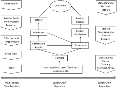 Schematic of the Tomato Supply Chain | Download Scientific Diagram