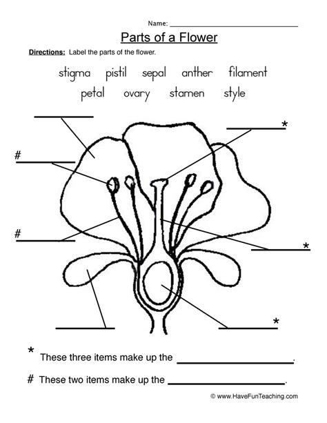 Free Printable Parts Of A Plant Worksheets