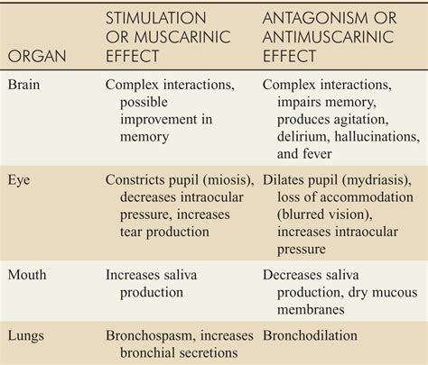 ANTICHOLINERGICS | Anesthesia Key