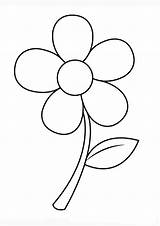 Coloring Pages  Daisy Flower Page For Kids sketch template