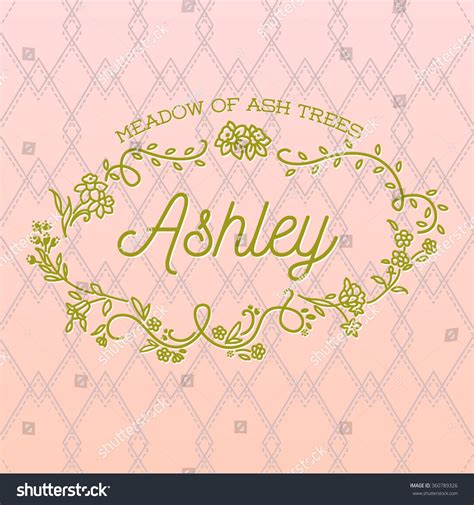 Ashley Girls Name Decorative Typography With Floral Frame Vector ...