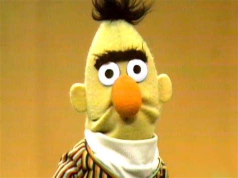 bert sesame street meme | Sesame street muppets, Sesame street memes ...