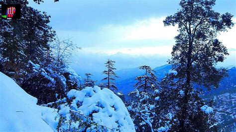 Shimla Wallpapers - Top Free Shimla Backgrounds - WallpaperAccess