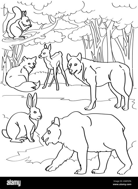 Different Forest Creatures Deer Fox Wolf Bear Rabbit With Tree ...