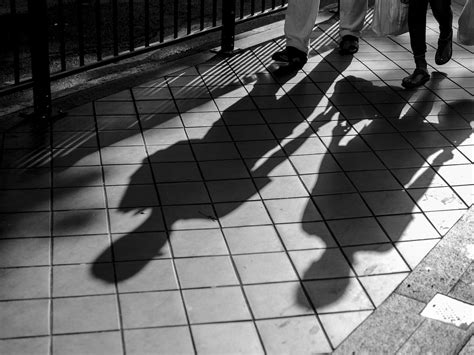 16 Consejos Para Conseguir Espléndidas "Fotografías de Sombras" | Fotografía de sombra, Sombras ...