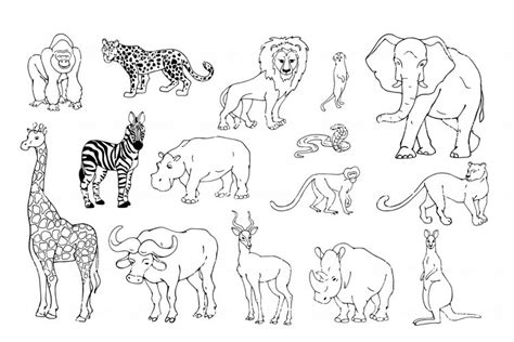 African savanna animals sketches.