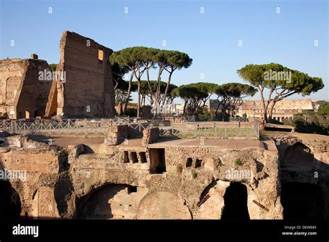 Circus Maximus ruins, Palatine Hill, Rome, Lazio, Italy, Europe Stock ...