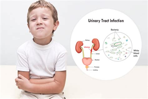 Urinary Tract Infection (UTI) In Children - Symptoms And Home Remedies