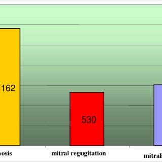 (Types of lesions by echo study) 3. the mitral valve area in the mitral ...