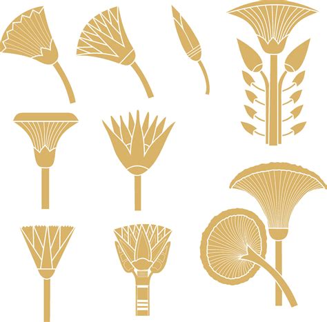 Vector gold monochrome set of ancient Egyptian signs and symbols. Lotus ...