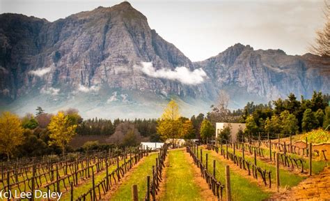 Exploring South Africa's Cape Winelands - Epicurean Destinations