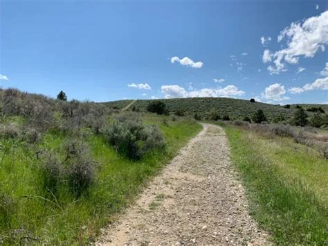 10 Best Trails and Hikes in Billings | AllTrails