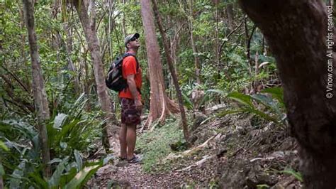 a man with a backpack is walking through the woods