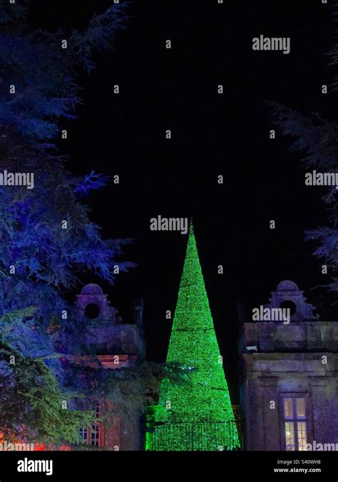 Christmas tree at longleat Stock Photo - Alamy