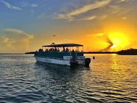 Sunset Dolphin & Wildlife Cruise | Adventures in Paradise (239) 472-8443