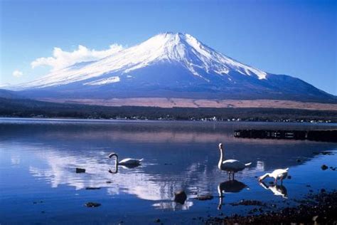 Lake Yamanakako/Official Travel Guide Yamanashi