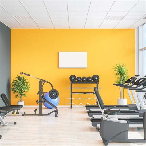 Home Gym Paint Colors for 2021 | The Family Handyman