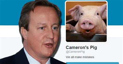 David Cameron's piggate pig now has its own Twitter account to troll Hameron | Metro News