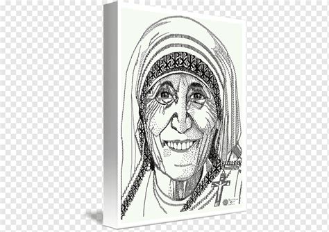 Homo sapiens mandíbula comportamiento humano sketch, mother-teresa, blanco, cara, monocromo png ...