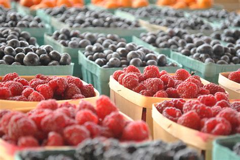 The Best Places to Pick Your Own Berries Near Boston