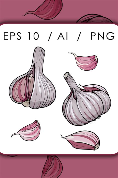 Hand Drawn Garlic Vector Illustration – MasterBundles