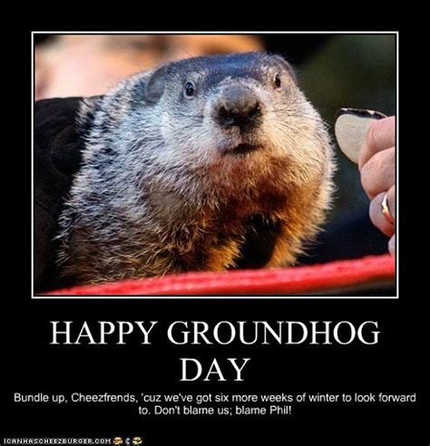 Groundhog Jokes And Quotes. QuotesGram