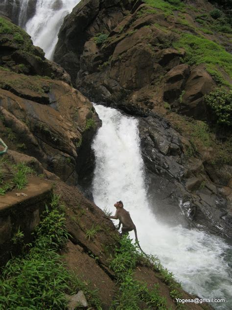 Trans Adventure: Our Tryst with Doodh Sagar Waterfall, Goa