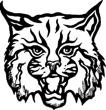 Bobcat Clipart | Free download on ClipArtMag