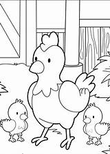 150  Desenhos De Galinhas Para Imprimir E Colorir/Pintar sketch template