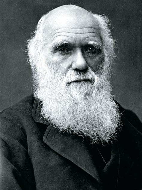 In Search of Charles Darwin | British Heritage