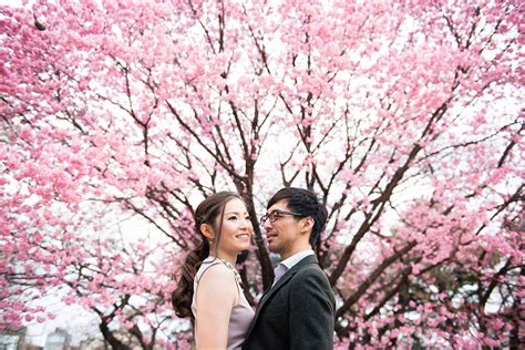 Image result for wedding japanese garden fort worth cherry blossoms | Cherry blossom wedding ...