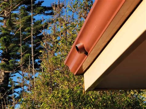 Gutter Overflow Spout: What Are They And How To Install An Overflow Spout