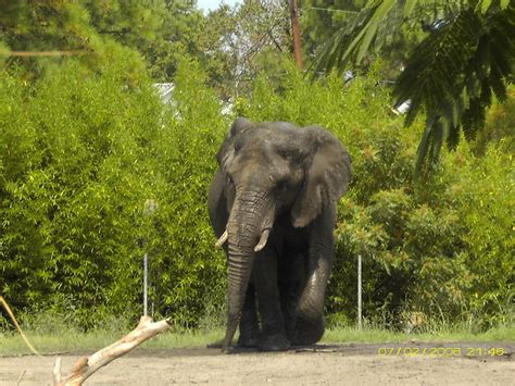 Virginia Beach Zoo | Flickr - Photo Sharing!