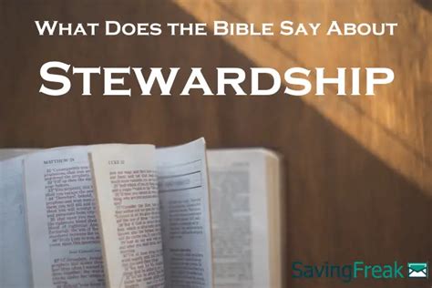 Bible Verses About Stewardship [What the Bible Says?]