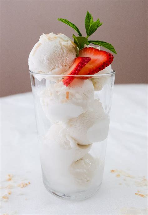 Coconut Milk Ice Cream - No Bananas, No Churn, & VEGAN! - Instant Veg