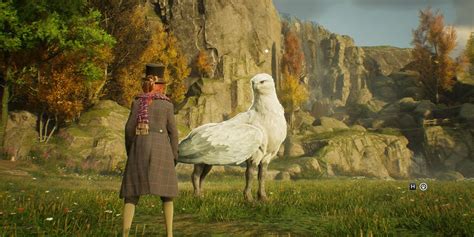 How to capture and tame a Hippogriff in Hogwarts Legacy - Gaming News