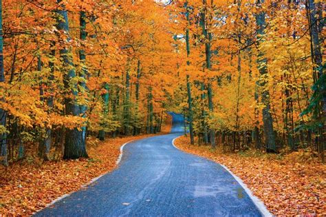 12 of Michigan's most dazzling fall color drives - mlive.com