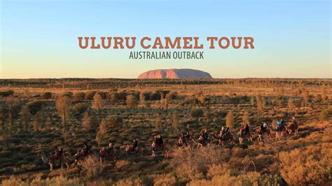 Australian Outback: Uluru Camel Tour at Sunrise | The Poor Traveler ...