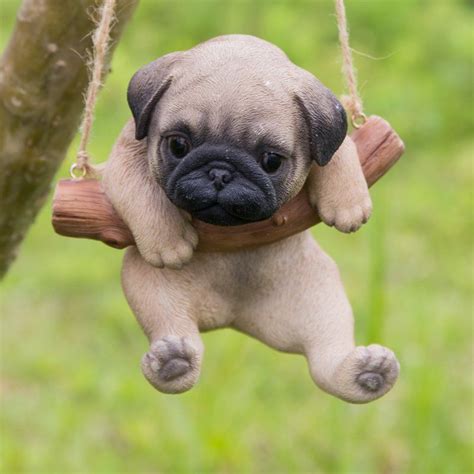 Hanging Pug Puppy Statue | Cute baby animals, Cute baby dogs, Baby pugs