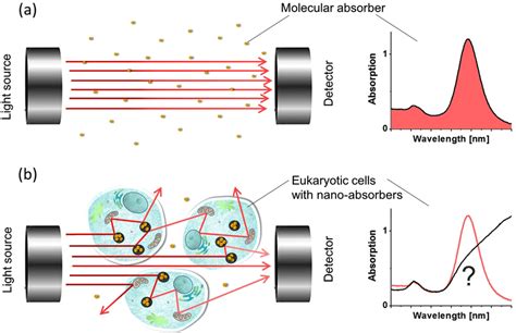 Principle of UV-VIS spectrophotometry. (a) Detected UV-VIS spectrum for... | Download Scientific ...