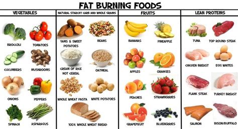 51 Fat Burning Foods (Infographic)