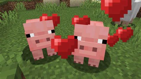 How To Breed Animal In Minecraft