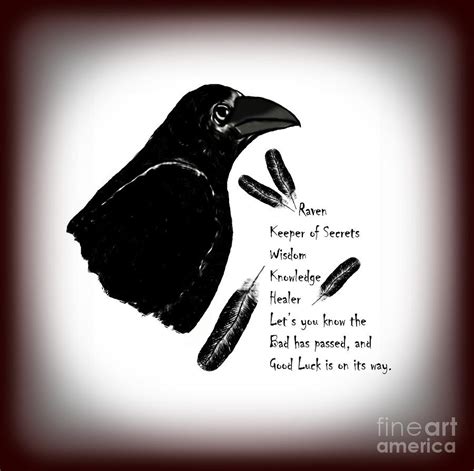 Meaning of Raven Photograph by Eva Thomas - Pixels