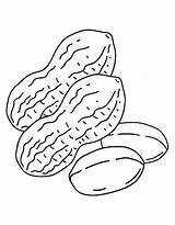 Peanut Coloring Pages Free Printable PDF sketch template